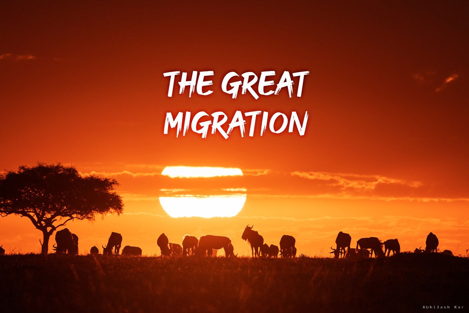The Great Migration