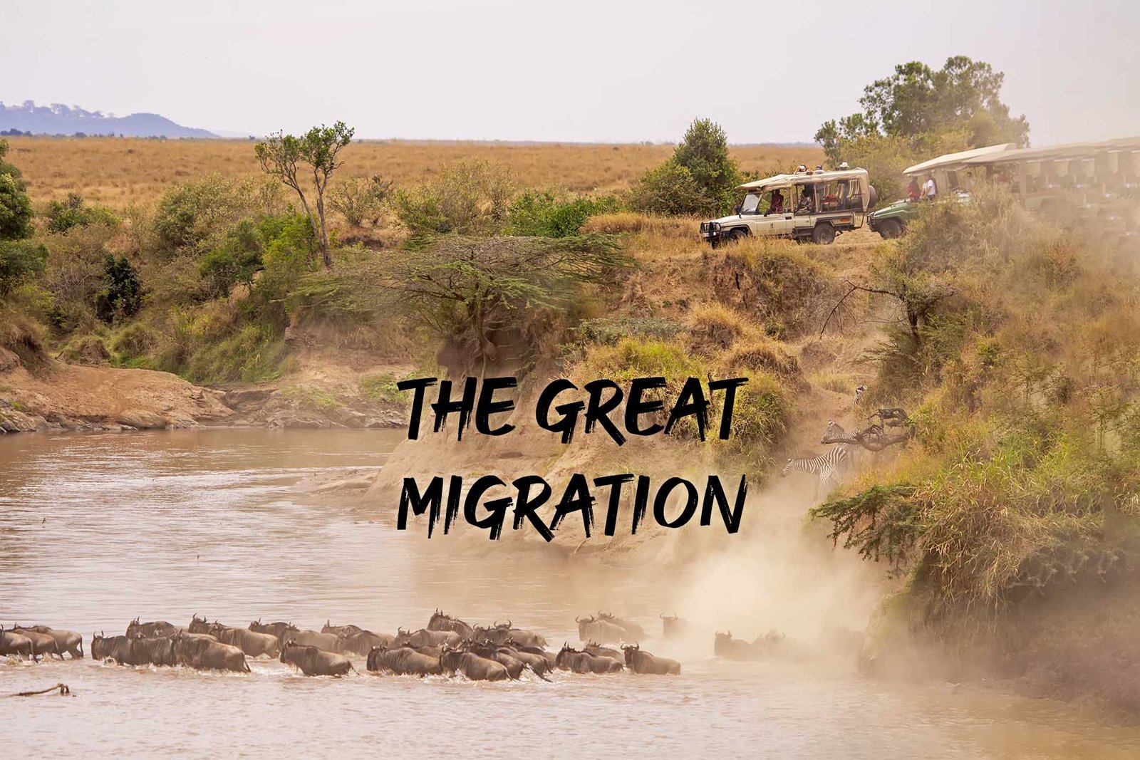Masai Mara Migration